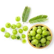2. Amla Extract