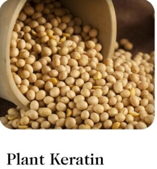 2. Keratin