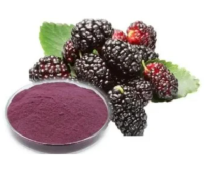 Mulberry Extract
